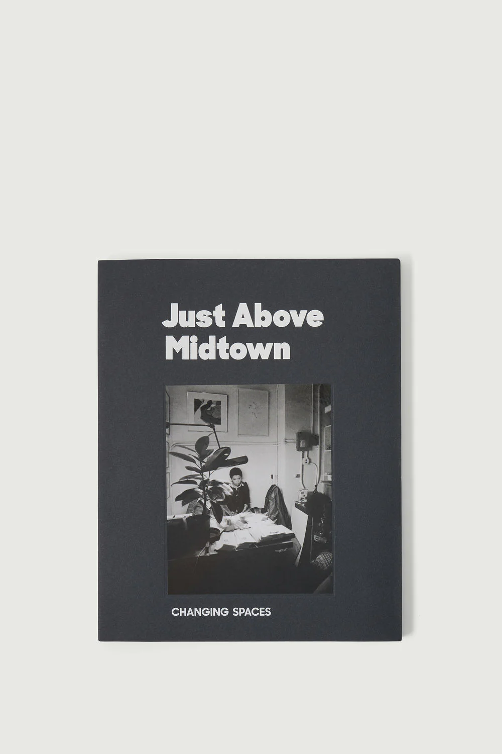 LIVRE 'JUST ABOVE MIDTOWN : CHANGING SPACES'