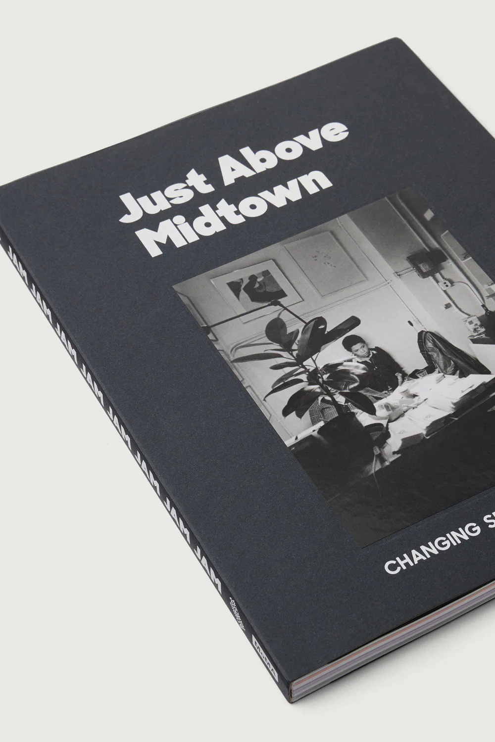 LIVRE 'JUST ABOVE MIDTOWN : CHANGING SPACES' - Image 2